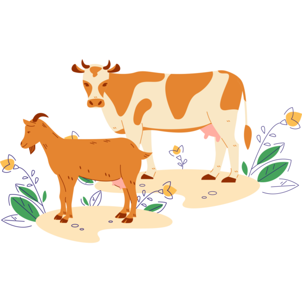 Ilustracija_KGZ_Mleko-Loka_koza-krava
